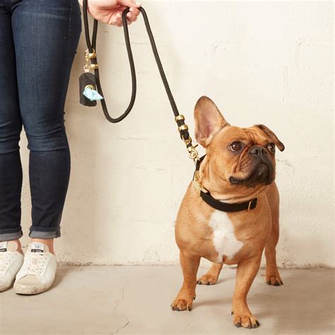 Sage Dog Raincoat – The Foggy Dog