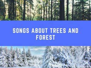 20 Songs About Trees And Forests Musical Mum