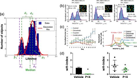 Fluorescence Lifetime Imaging Microscopy Fundamentals And Advances In Instrumentation Analysis