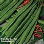 Runner Bean Scarlet Empire Seeds Thompson Morgan