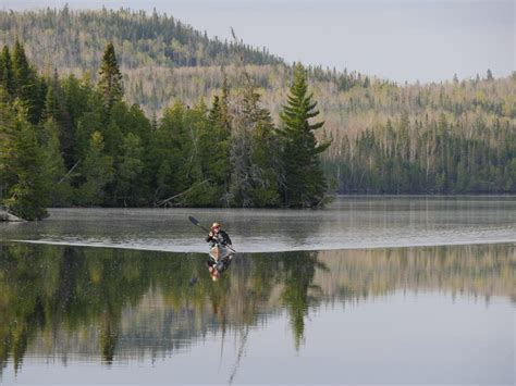 Science Desk Big News But What Does It Mean For The Bwca Save The