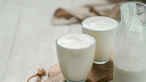 Vegan Yogurt Starter Culture Manual | Revolution Fermentation