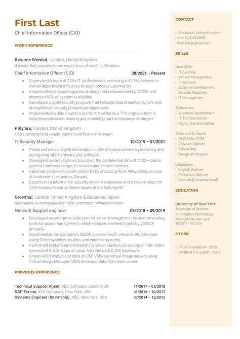 Cio Resume Examples Joly Roxana