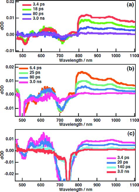 Femtosecond Laser Induced Transient Absorption Spectra Of Self Assembly