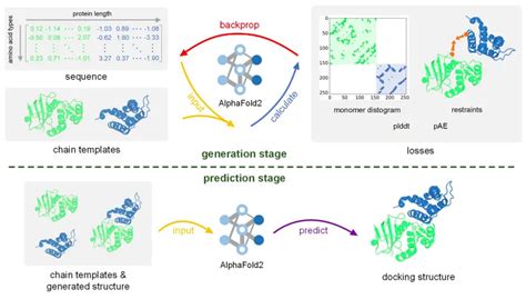 Meet Colabdock A New Framework Integrating Alphafold And Experimental