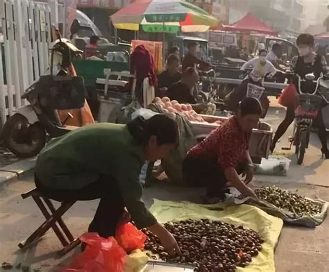 在南乐，有一种逛街叫赶集（附南乐各乡镇集会时间表）农历