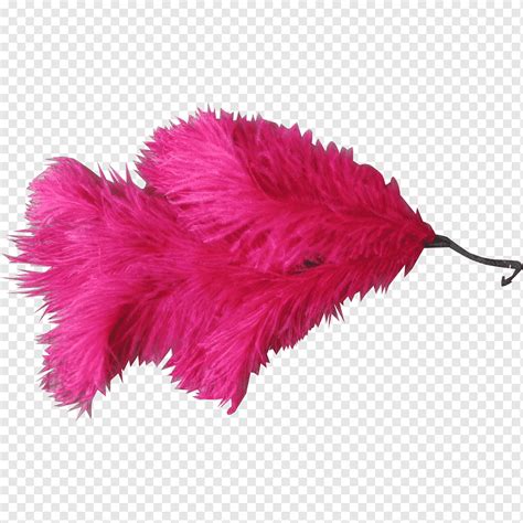 Fascinator Перо Боа Hat, женский день розовый плакат, животные, шляпа ...
