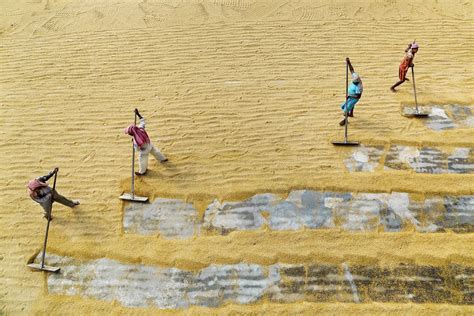 Patterns Of Paddy Smithsonian Photo Contest Smithsonian Magazine