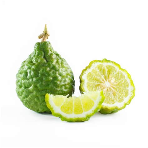 wild lime stock  pictures royalty  images istock