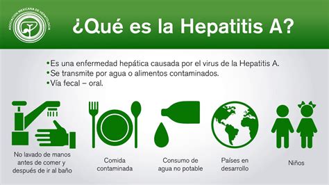 Hepatitis A Generalidades Y Patogenia Youtube