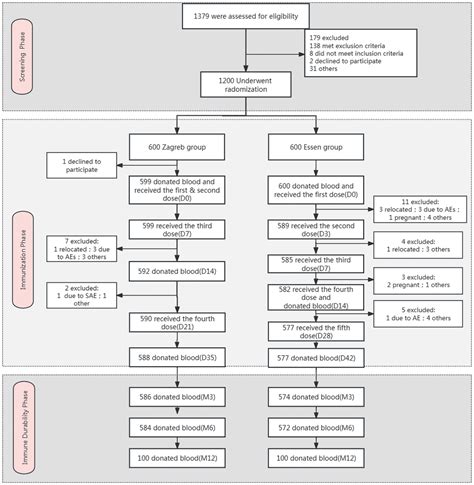 Frontiers Safety Immunogenicity And Immune Persistence Of A