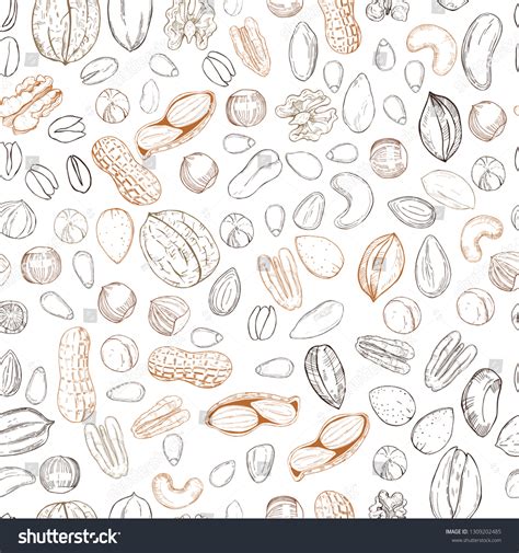 Hand Drawn Nuts Vector Seamless Pattern Stock Vector Royalty Free