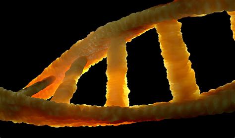 El ATP ¿Qué es y cuál es su función? - Cultura y Ciencia