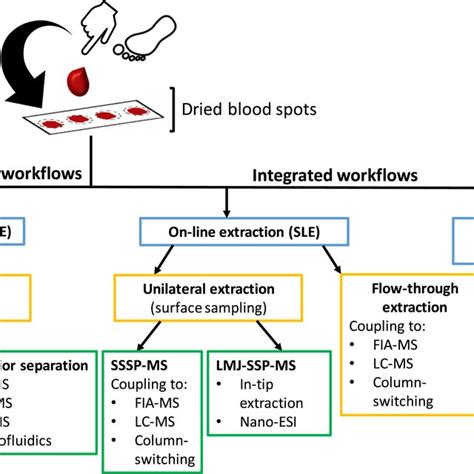 Comparison Of Three Basic Workflows Typically Used In Dried Blood Spot