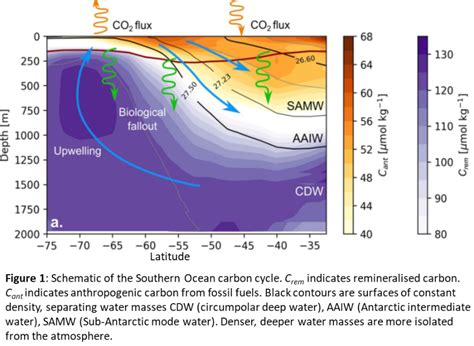 Ocean Circulation And The Southern Ocean Carbon Sink University Of Southampton