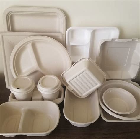 Biodegradable Disposable Lunch Box Dinnerware Compostable Sugarcane