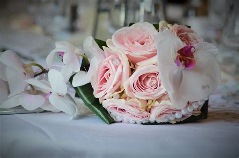 Pink Flower Bouquet · Free Stock Photo