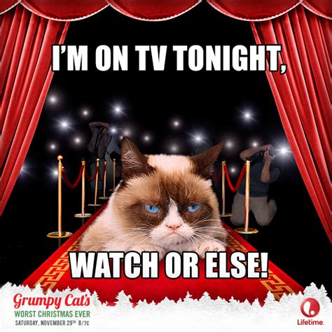 Grumpy Cats Worst Christmas Ever Starts Tonight Grumpy Cat S