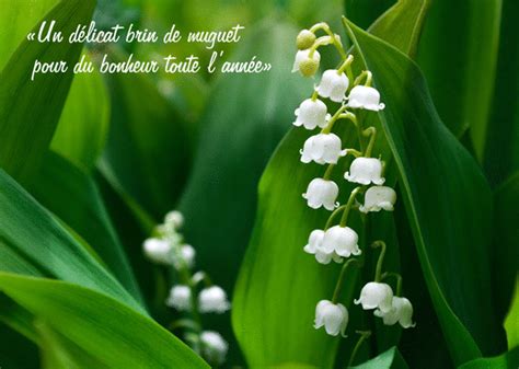 Carte Muguet Pour Du Bonheur Toute L année Envoyer une Carte 1er Mai