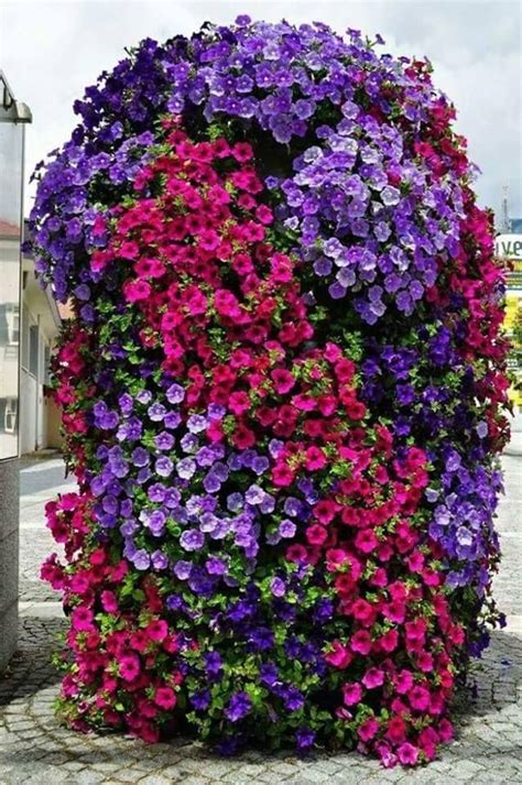 Pin By Rachel Summers On Flowers Flower Tower Flower Garden Design