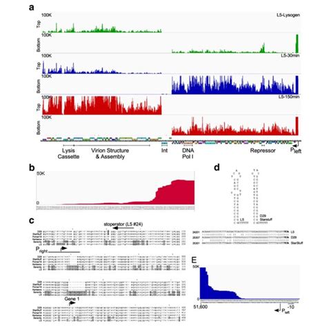 Read Coverage Rna Seq Coverage Of The Kampy Genome At A B