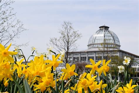 Lewis Ginter Botanical Garden Review Grading Gardens