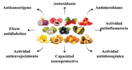 Propiedades bioactivas de frutas tropicales exóticas y sus beneficios a