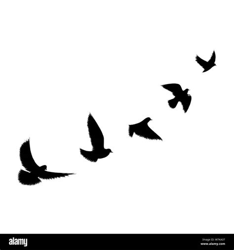 Black Bird Flying Silhouette