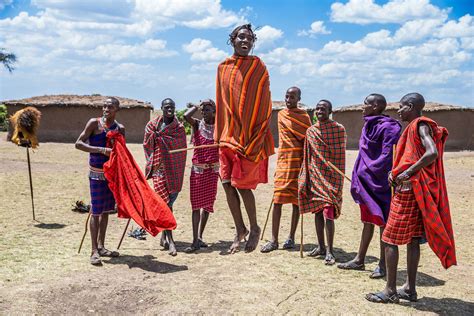 Maasai Warriors Perform Their Famous Jumping Dance In Maasai Mara