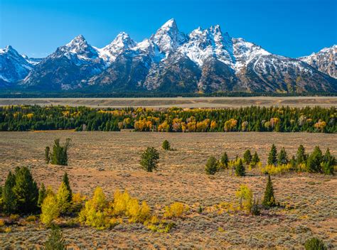 Grand Teton National Park Aspens Autumn Colors Fall Foliage Wyoming