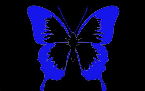 Dark Butterfly Wallpapers - Top Free Dark Butterfly Backgrounds ...