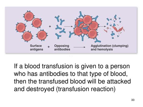 Ppt Hematology Powerpoint Presentation Free Download Id 381513