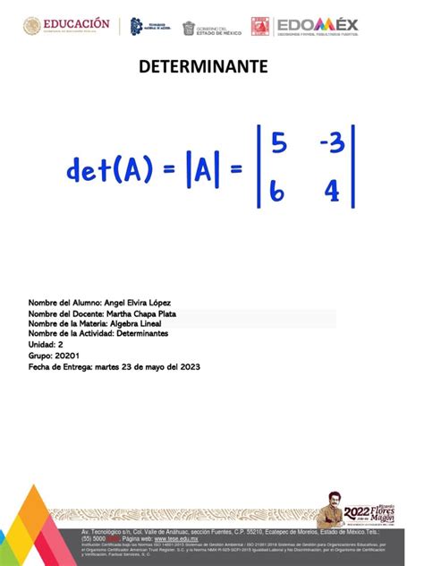 Determinantes Pdf Determinante Matriz Matemáticas