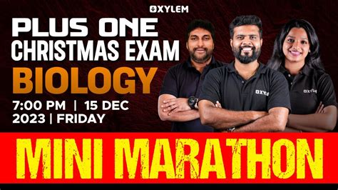 Plus One Christmas Exam Mini Marathon Biology Xylem Plus One