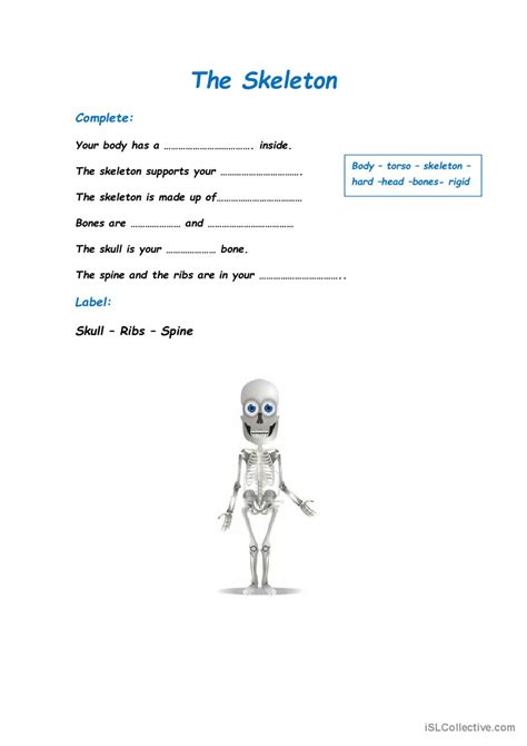 Skeleton English Esl Worksheets Pdf And Doc