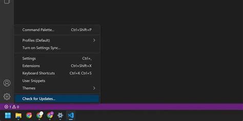 C Mo Solucionar Fallos De Visual Studio Code En Windows