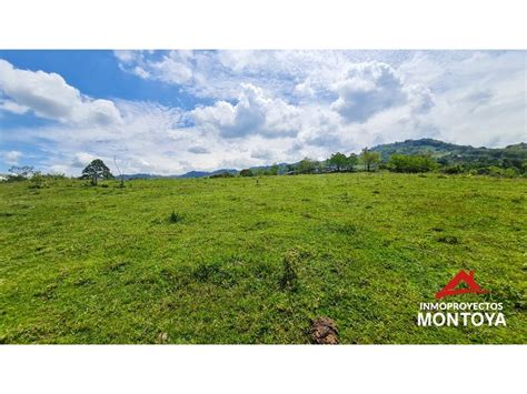 venta Lote de Terreno en La Pradera Santa Mónica 5532624