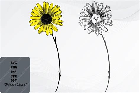 Sunflower Svg Graphic By Shaden Store Creative Fabrica