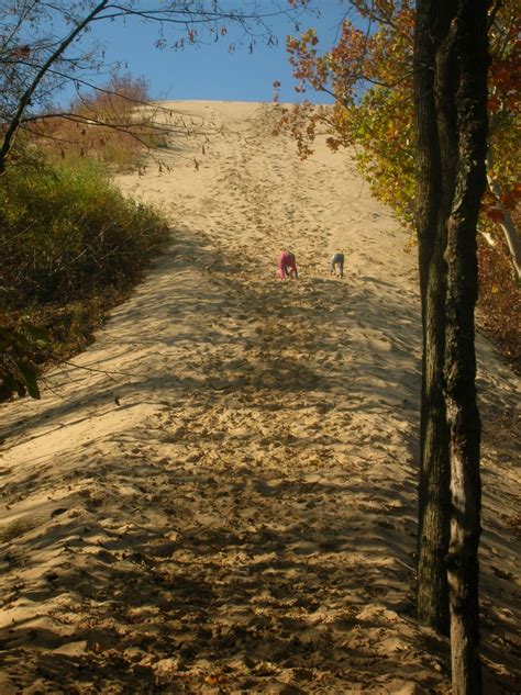 Warren Dunes State Park Sawyer Mi Love The Dunes Michigan State