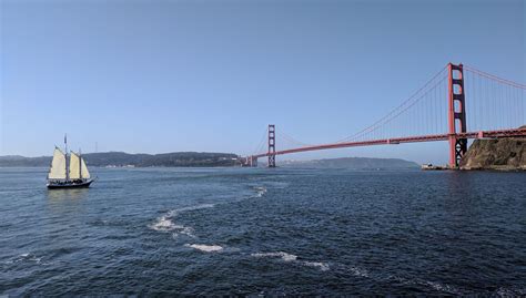 Marine Wildlife And Ecology Sail Under The Golden Gate Bridge