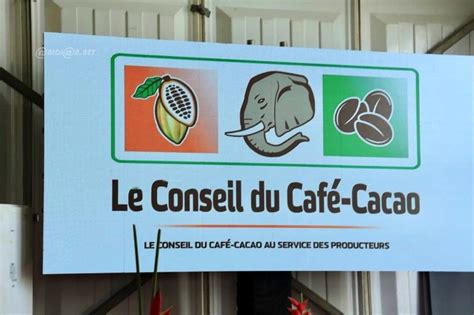 C R Monie De Lancement Officiel De La Campagne De Commercialisation Du