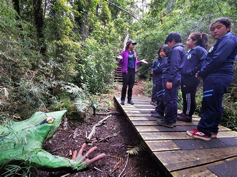 Aula En La Naturaleza Parque Tantauco