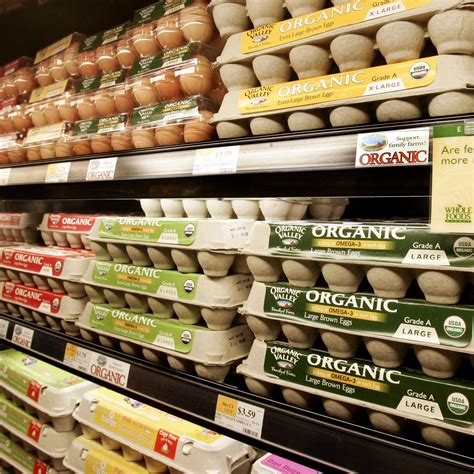 What S The Difference Between Free Range And Organic Eggs 40 OFF