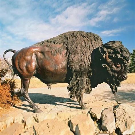 Bronze Bison Sculpture For Sale - SevenTreeSculpture