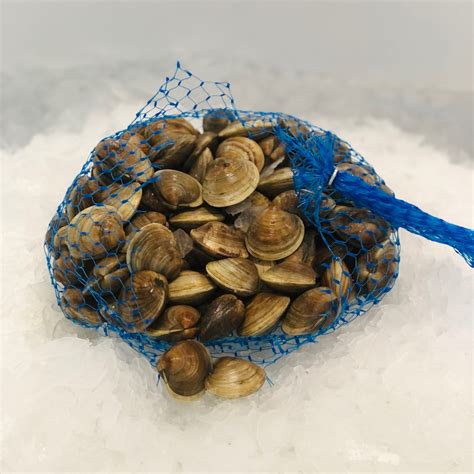 Clams, Littleneck, FL - Royal Hawaiian Seafood