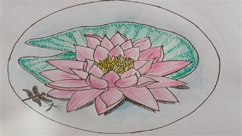 How To Draw Water Lily National Flower Of Bangladesh Step By Step Very