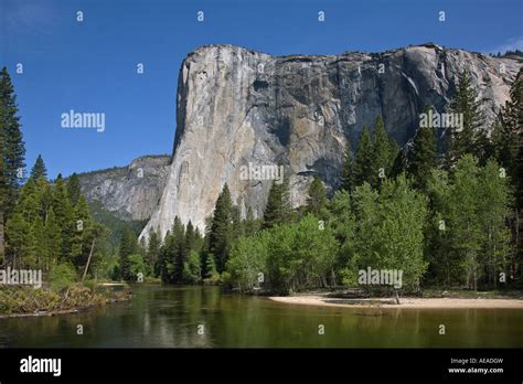 The Merced River Flows Below El Capitan In The Yosemite Valley During Spring Yosemite National