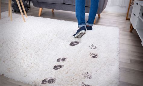 Area Rug Cleaning Tips | Woodard