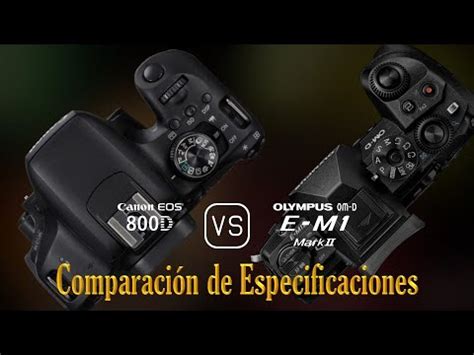 Canon Eos D Vs Olympus Om D E M Mark Ii Una Comparaci N De