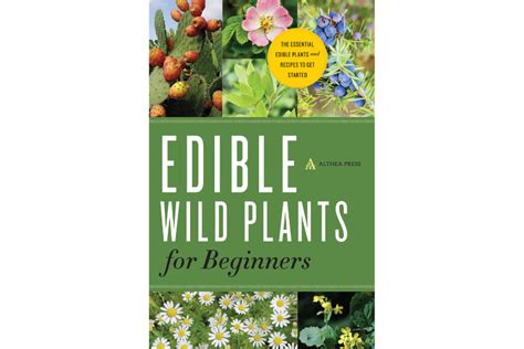 Best Foraging Books 7 Titles Every Forager Needs To Read